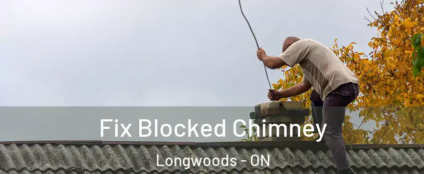  Fix Blocked Chimney Longwoods - ON