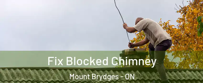  Fix Blocked Chimney Mount Brydges - ON