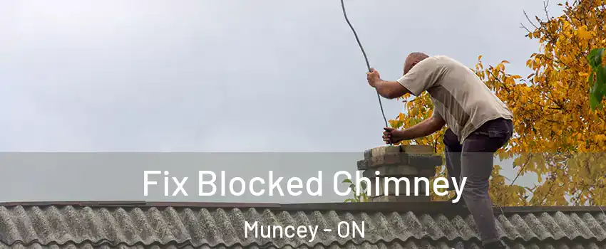  Fix Blocked Chimney Muncey - ON