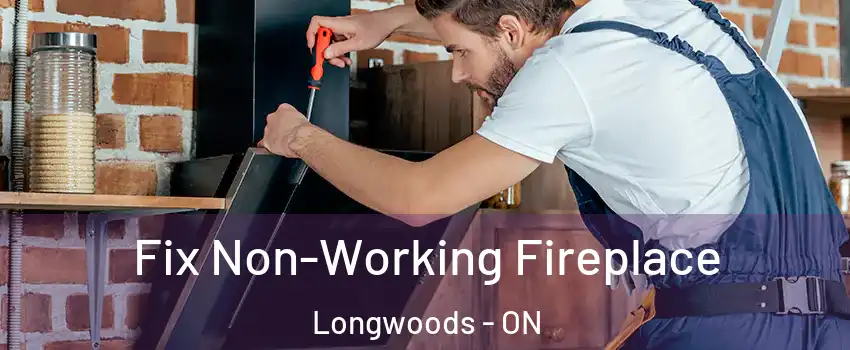  Fix Non-Working Fireplace Longwoods - ON