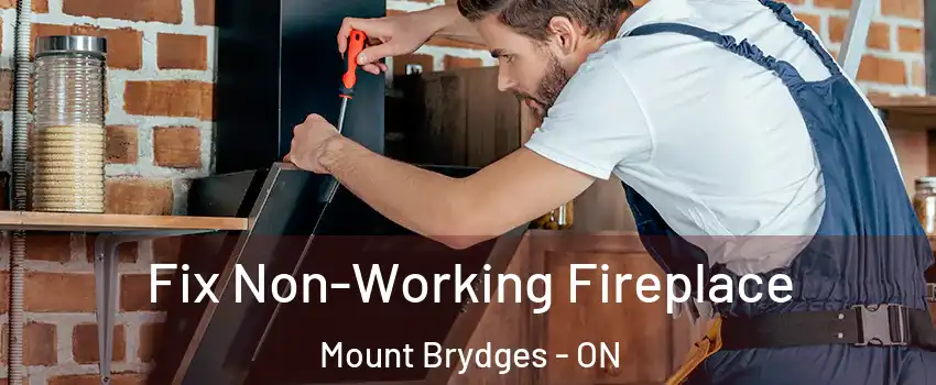  Fix Non-Working Fireplace Mount Brydges - ON