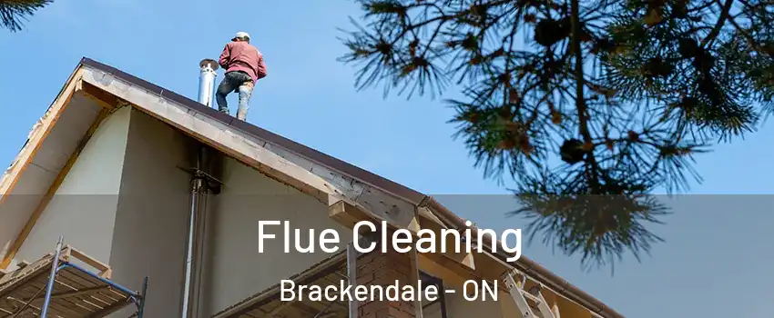  Flue Cleaning Brackendale - ON
