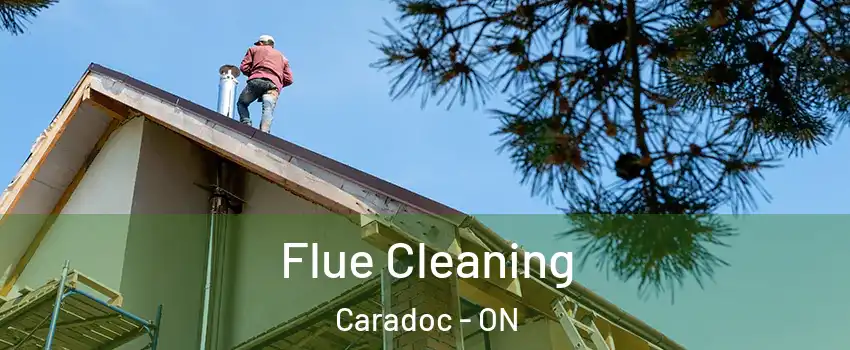  Flue Cleaning Caradoc - ON