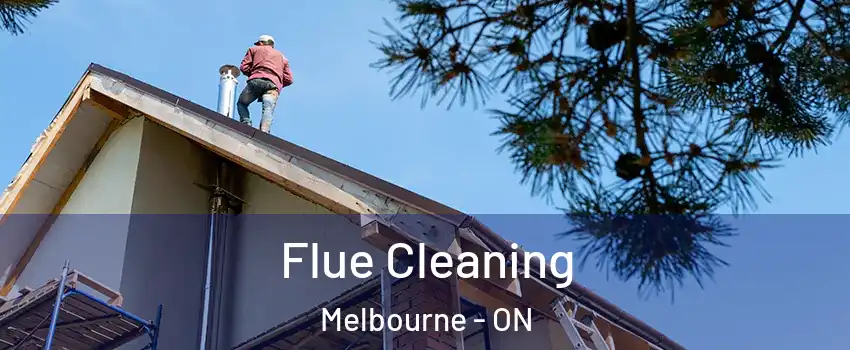  Flue Cleaning Melbourne - ON