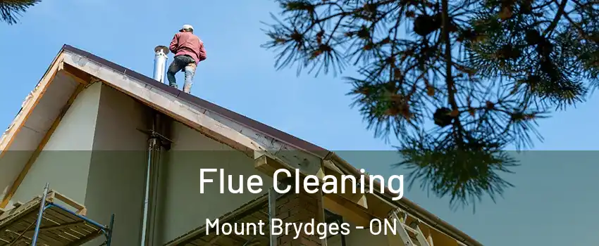  Flue Cleaning Mount Brydges - ON