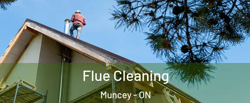  Flue Cleaning Muncey - ON