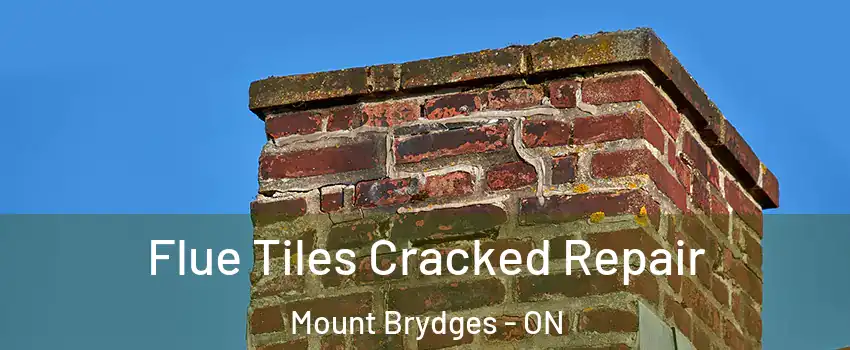  Flue Tiles Cracked Repair Mount Brydges - ON