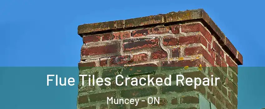  Flue Tiles Cracked Repair Muncey - ON