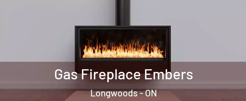  Gas Fireplace Embers Longwoods - ON