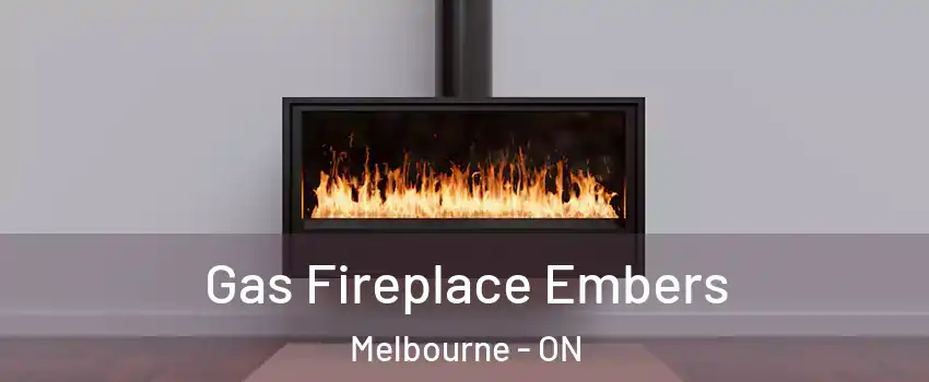  Gas Fireplace Embers Melbourne - ON