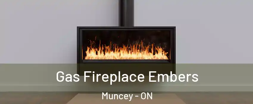  Gas Fireplace Embers Muncey - ON