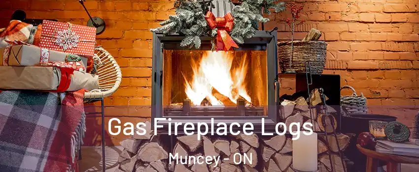  Gas Fireplace Logs Muncey - ON