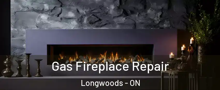  Gas Fireplace Repair Longwoods - ON