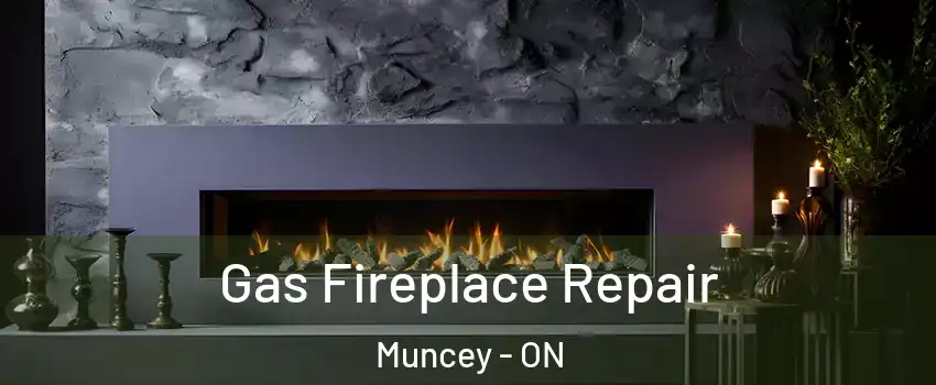  Gas Fireplace Repair Muncey - ON