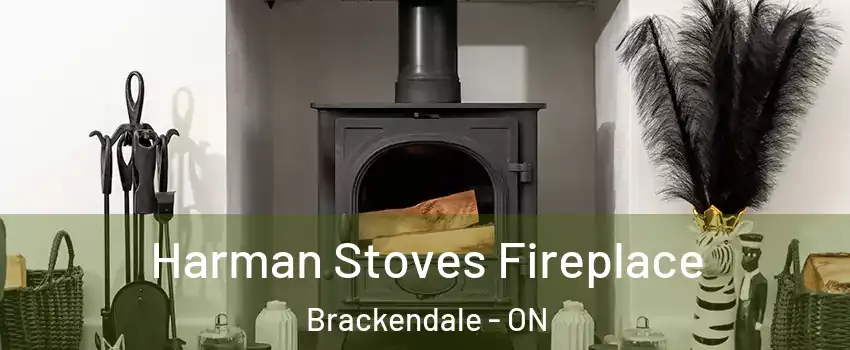  Harman Stoves Fireplace Brackendale - ON