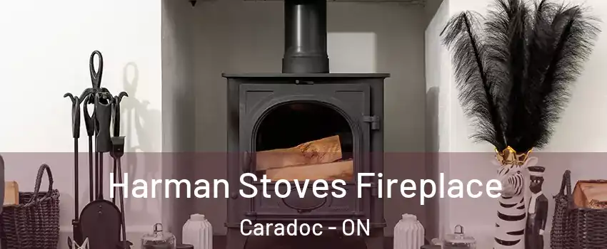  Harman Stoves Fireplace Caradoc - ON