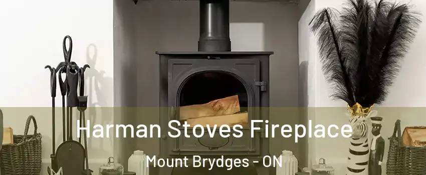  Harman Stoves Fireplace Mount Brydges - ON