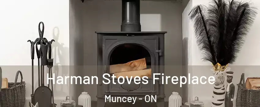  Harman Stoves Fireplace Muncey - ON
