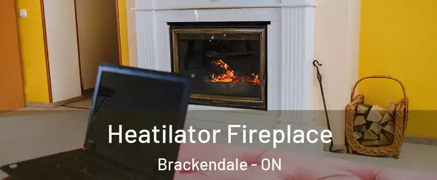  Heatilator Fireplace Brackendale - ON