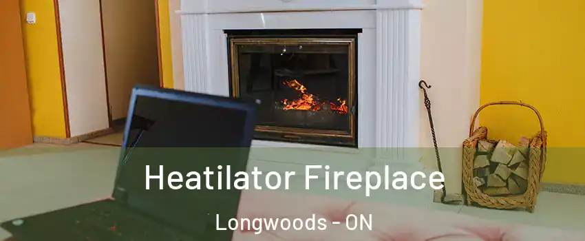  Heatilator Fireplace Longwoods - ON