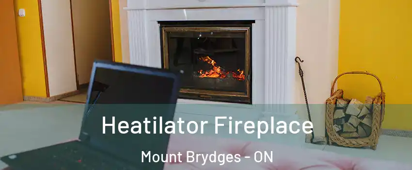  Heatilator Fireplace Mount Brydges - ON