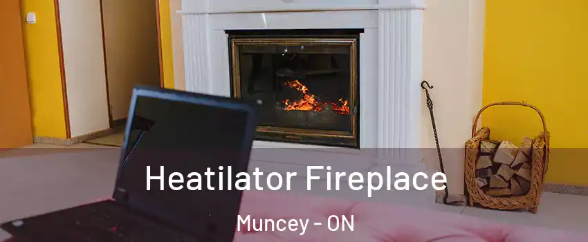 Heatilator Fireplace Muncey - ON
