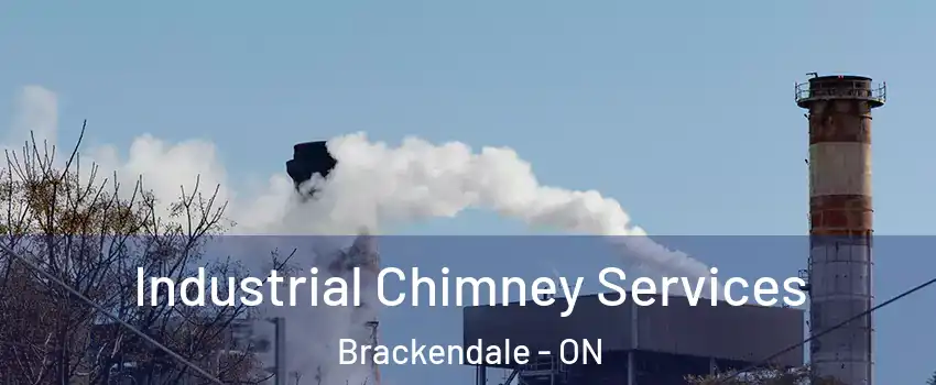  Industrial Chimney Services Brackendale - ON