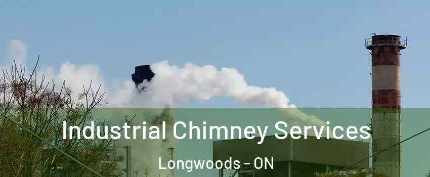  Industrial Chimney Services Longwoods - ON