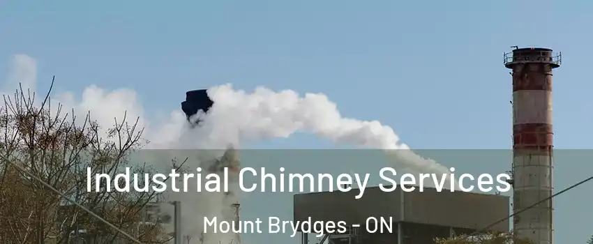  Industrial Chimney Services Mount Brydges - ON