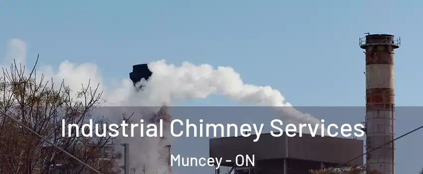  Industrial Chimney Services Muncey - ON