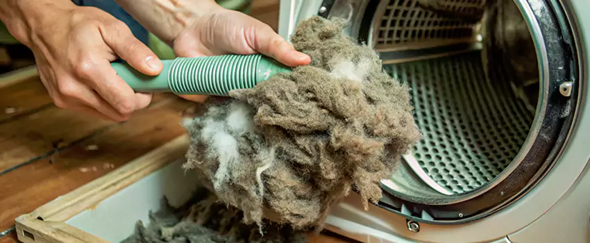 Best Dryer Lint Removal Company in Strathroy Caradoc, Ontario