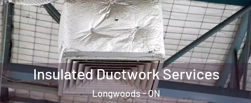  Insulated Ductwork Services Longwoods - ON