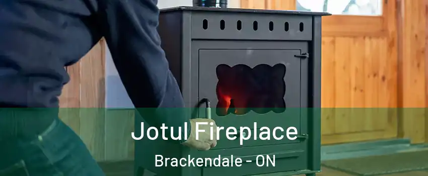  Jotul Fireplace Brackendale - ON