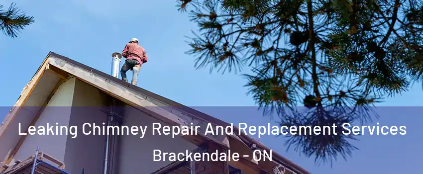  Leaking Chimney Repair And Replacement Services Brackendale - ON