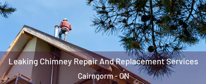  Leaking Chimney Repair And Replacement Services Cairngorm - ON