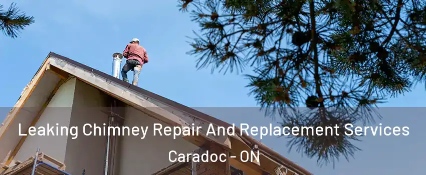  Leaking Chimney Repair And Replacement Services Caradoc - ON