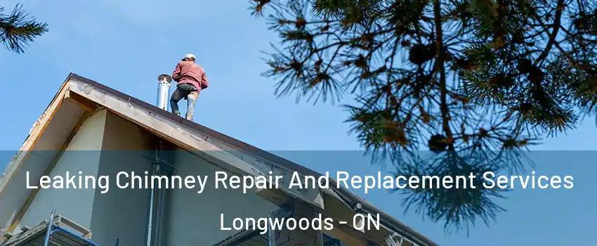  Leaking Chimney Repair And Replacement Services Longwoods - ON
