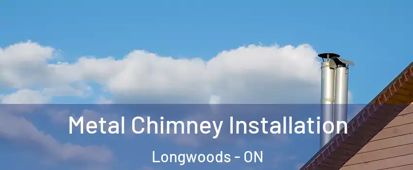  Metal Chimney Installation Longwoods - ON