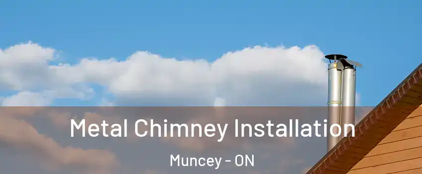  Metal Chimney Installation Muncey - ON