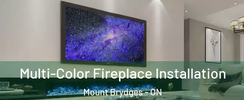  Multi-Color Fireplace Installation Mount Brydges - ON