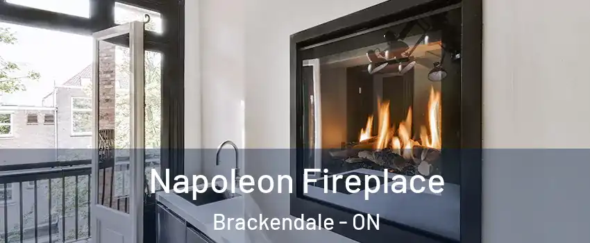  Napoleon Fireplace Brackendale - ON