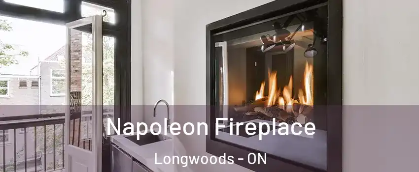  Napoleon Fireplace Longwoods - ON