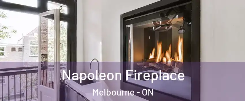  Napoleon Fireplace Melbourne - ON