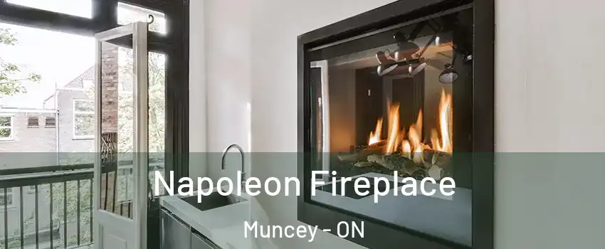  Napoleon Fireplace Muncey - ON