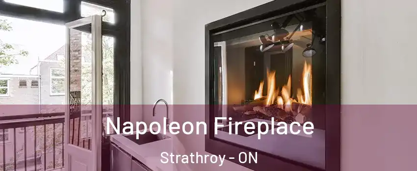  Napoleon Fireplace Strathroy - ON
