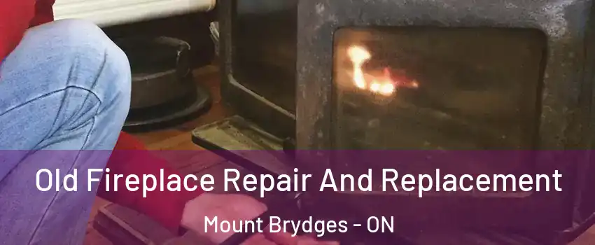  Old Fireplace Repair And Replacement Mount Brydges - ON