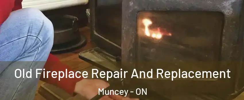  Old Fireplace Repair And Replacement Muncey - ON