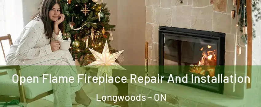 Open Flame Fireplace Repair And Installation Longwoods - ON