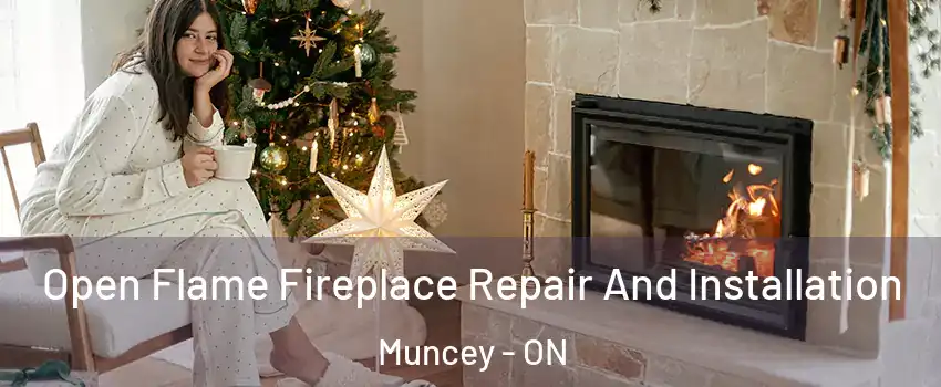  Open Flame Fireplace Repair And Installation Muncey - ON