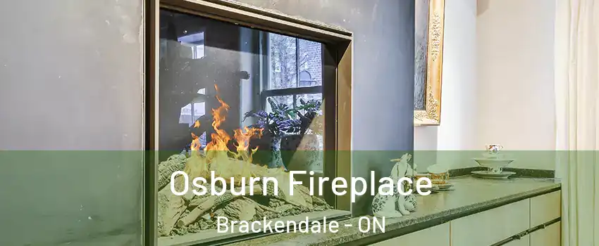 Osburn Fireplace Brackendale - ON